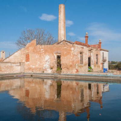 Motor de Vicent Forriga