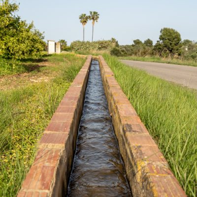 Sénies, basses i regs