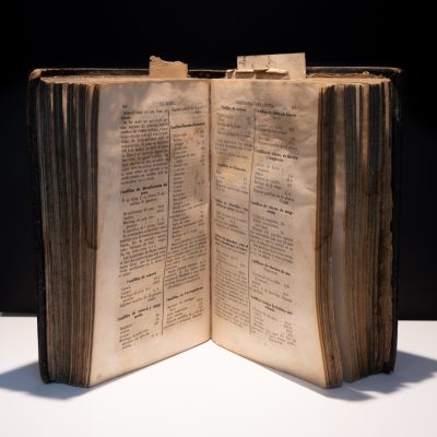 La botica (Repertori general de farmàcia pràctica)