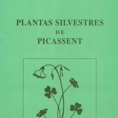 Plantas silvestres de Picassent